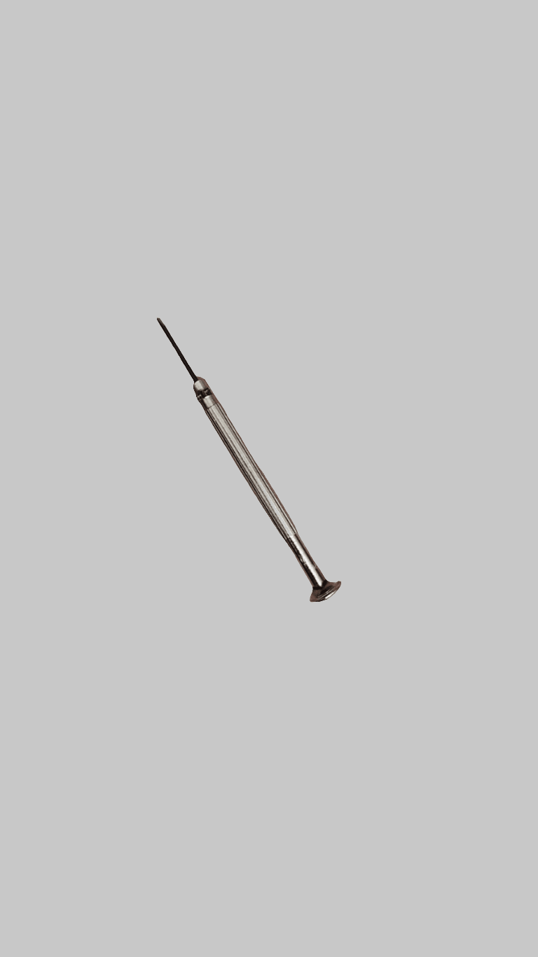 Small screwdriver for unscrewing watch parts