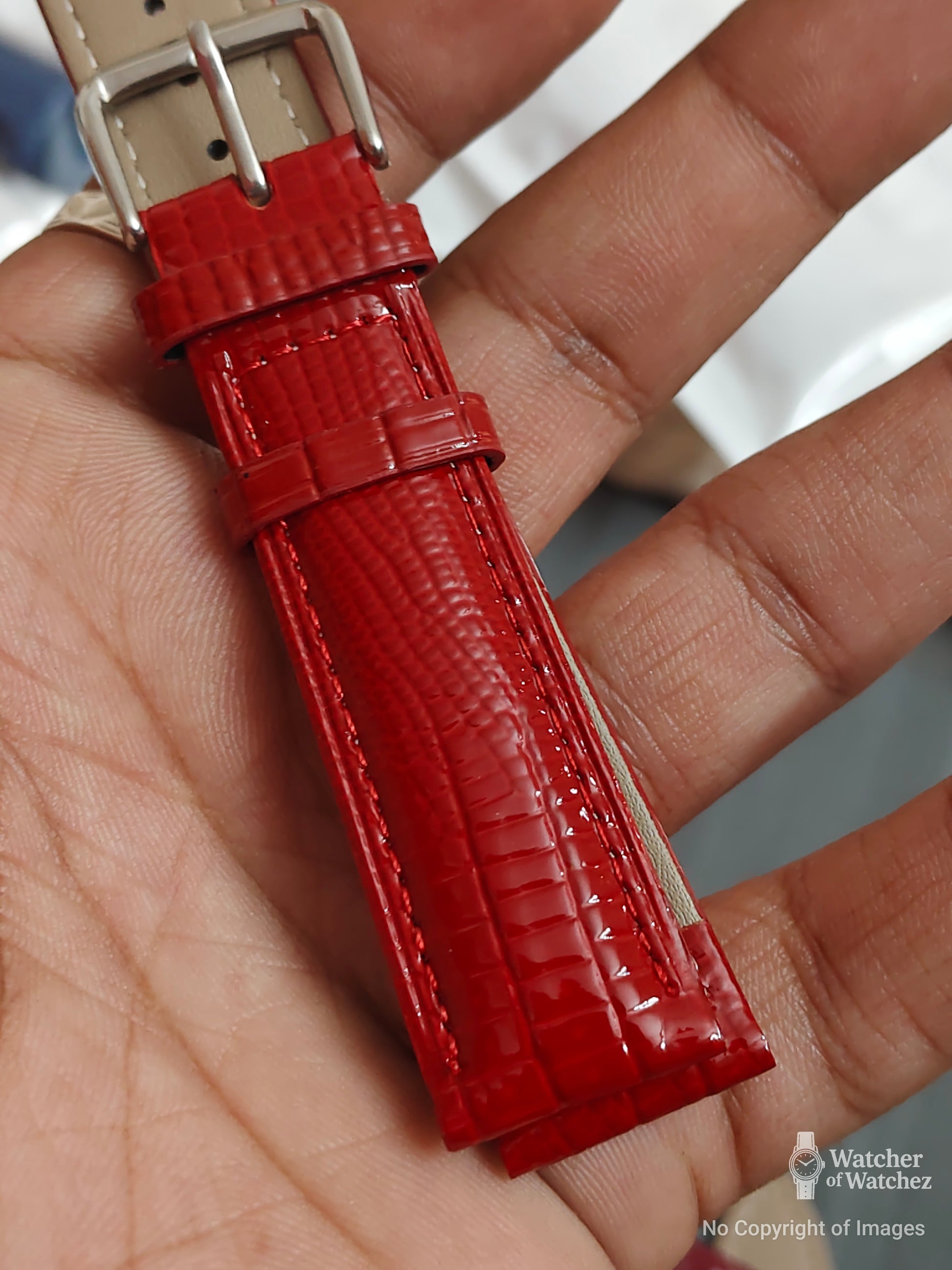 Premium Shiny Rust Red Lizard Pattern Leather Watch Strap – 18mm, 20mm, 22mm With Spring Bars(limited drop)