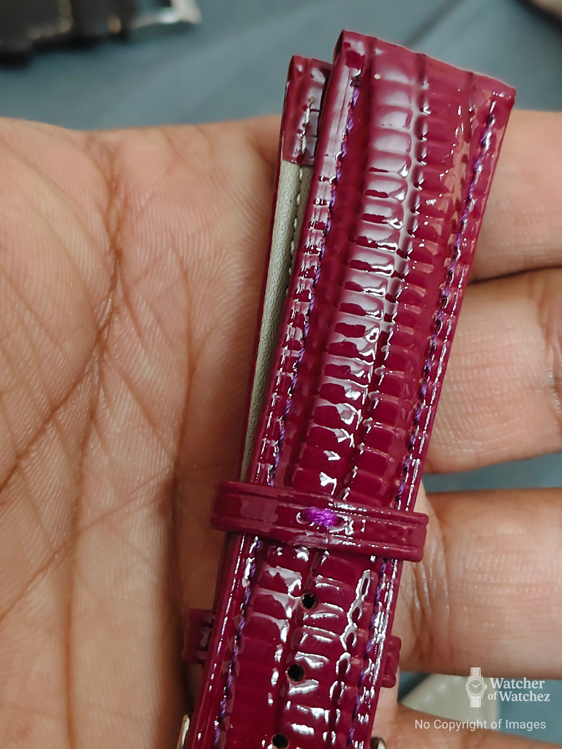 Premium Shiny Purple Mix Burgundy Lizard Pattern Leather Watch Strap – 18mm, 20mm, 22mm With Spring Bars(limited drop)